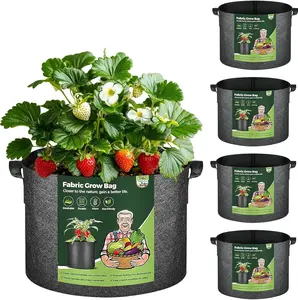 T4U Fabric Plant Grow Bags with Handle 10 Gallon Pack of 5, Heavy Duty Nonwoven Smart Garden Pot Thickened Aeration Nursery Container Black for Outdoor Potato, Tomato, Chili, Carrot and Vegetables