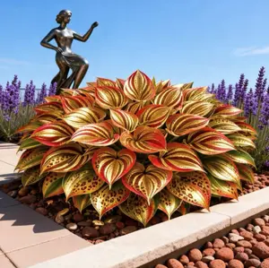 1000+ Golden Hosta Seeds – Unique Shade Garden Plants for Outdoor Landscaping