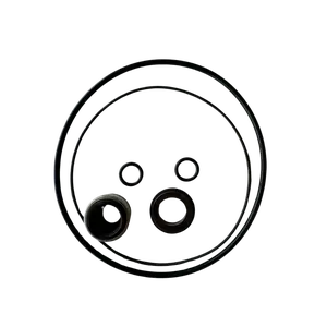 Seal and Gasket Replacement Kit - BP Pumps