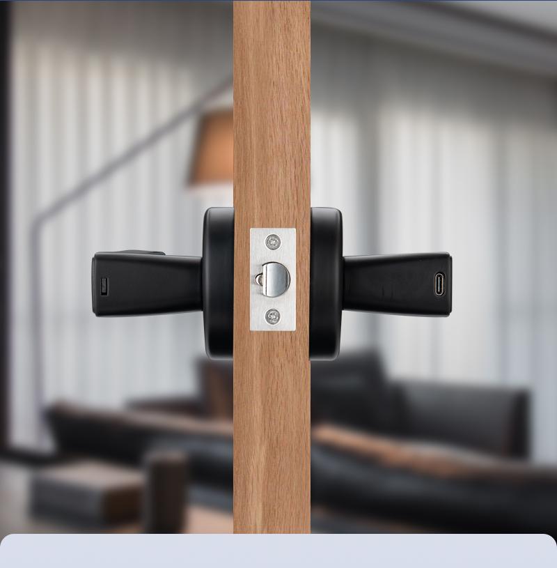 Smart Fingerprint Door Lock Keyless Entry Handle Biometric tech & App Control knob for Room Garage Office Apartment Local Data Storage
