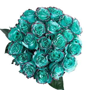Lady Painted Roses
