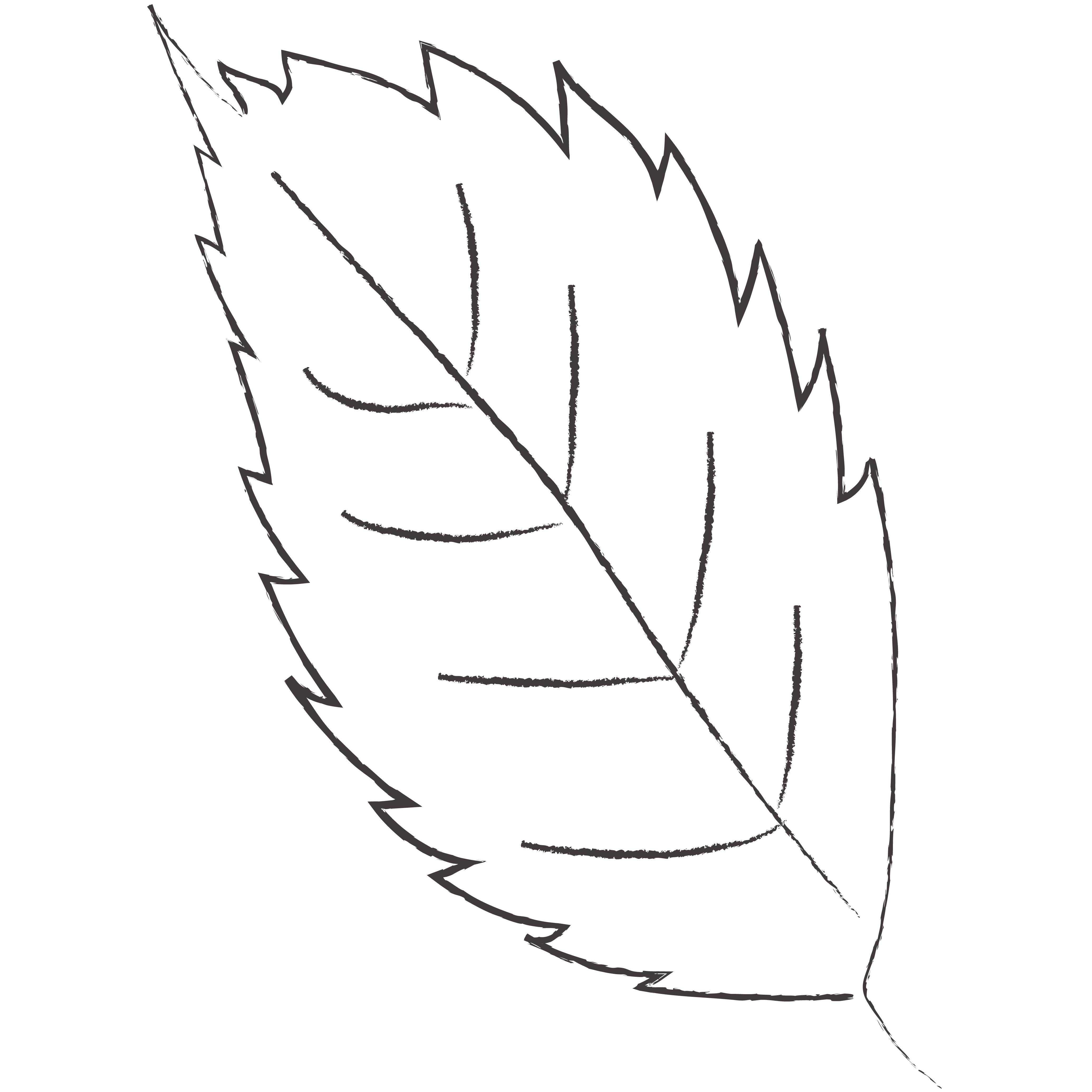 mai-light highlighter