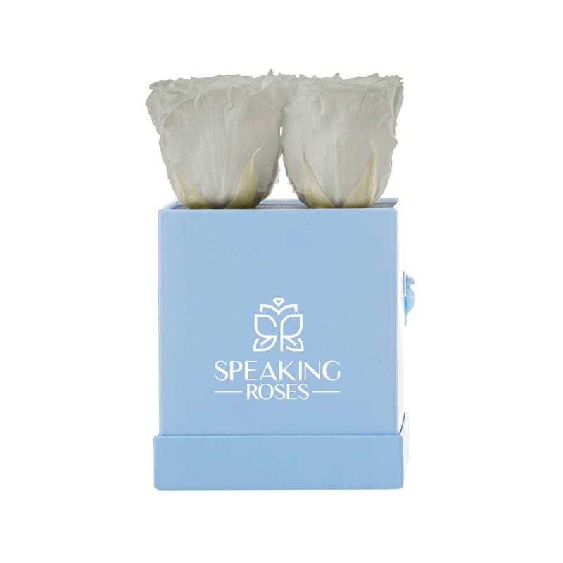 Sovelle OXS  - Valentine's Day Collection