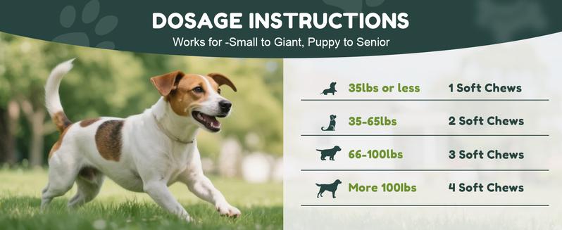 2Pack-Dog Chewable with Glucosamine & MSM, Omegas 3 & 6, Probiotics, Dog Vitamins and Supplements for Hip & Joint Health, Skin & Coat, Immune Boost & Overall Natural Health 120 Soft Chews cat Multivitamin