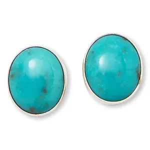 Mine Finds by Jay King Rio Azul Turquoise Sterling Silver Oval Stud Earrings