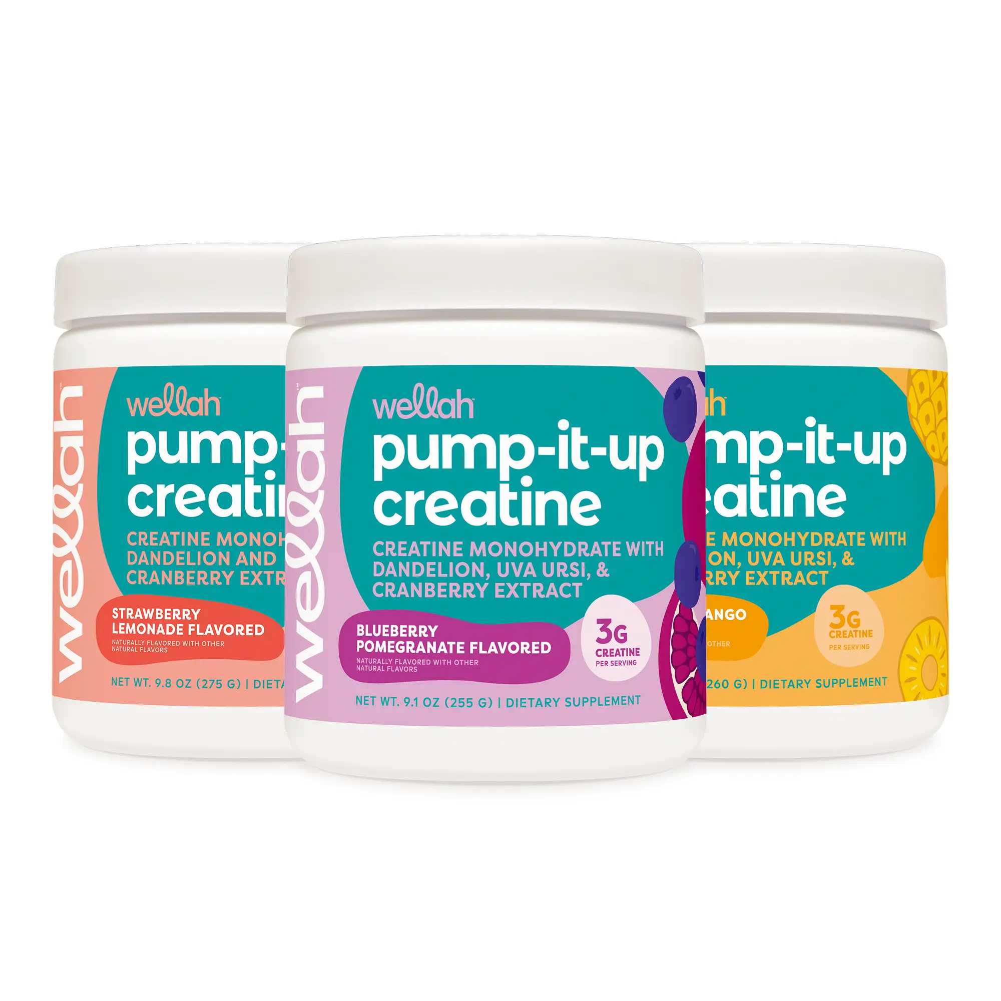 Wellah Creatine – 3 Flavor Creatine Monohydrate Supplement Bundle | 3g Creatine Per Serving | 150 Servings