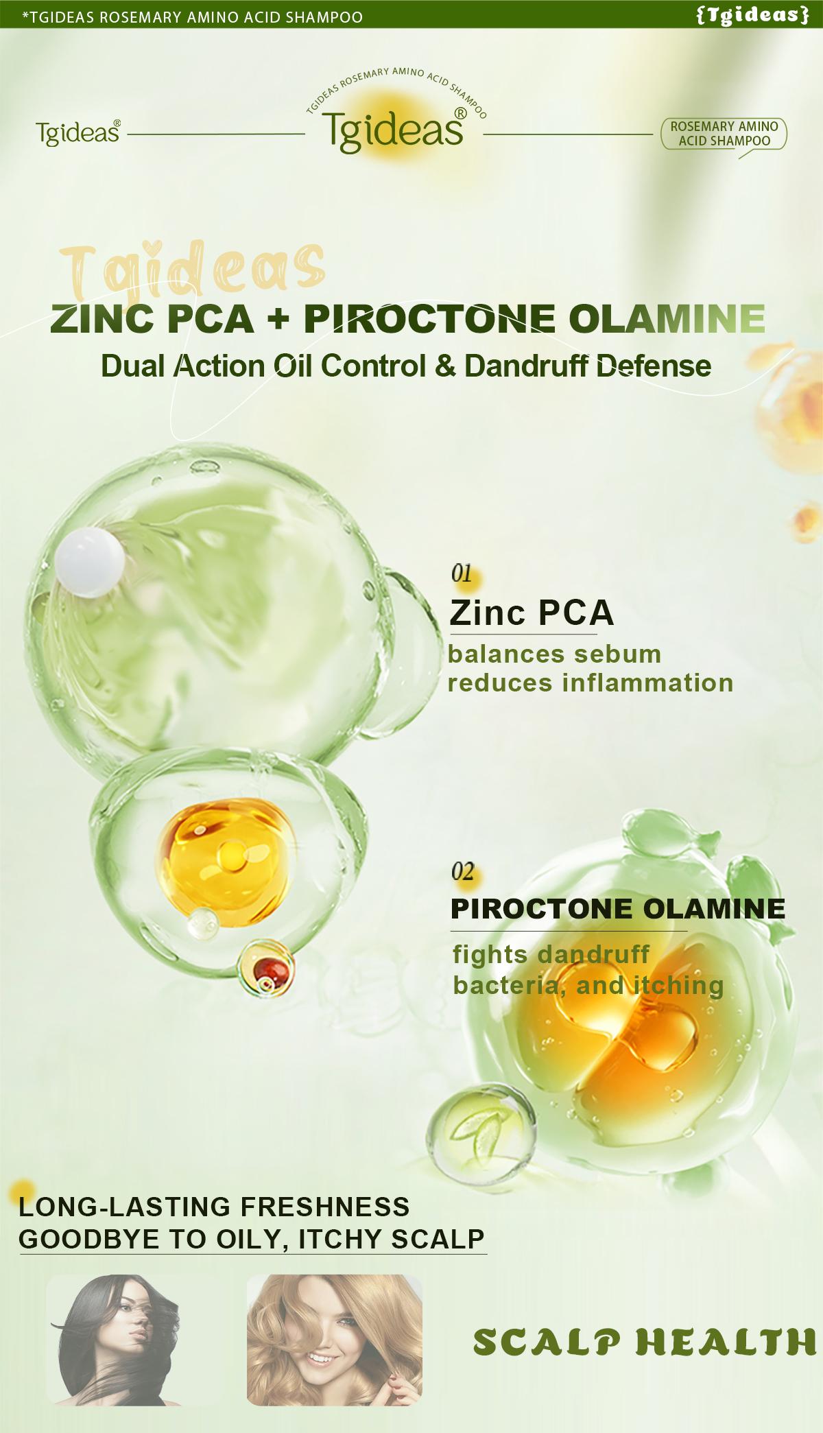 【Buy 1 Get 1 Free】Tgideas Anti-Hair Fall Hair Loss Treatment Shampoo Oil Control Anti Dandruff Haircare Rosemary Zinc PCA Help Hair Growth Amino Acid Hydrolyzed Protein Repair Reduce Hair Loss Scalp Cleanser Conditioner 250ML