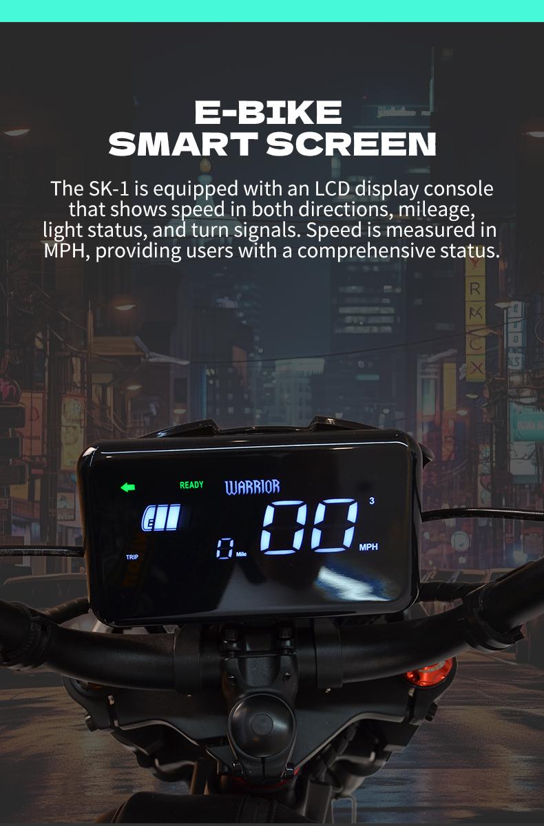 OWAY Black Warrior electric bicycle sk-1 ultra 3000W 60v 50ah High Speed Long Range 62mile high fatebike