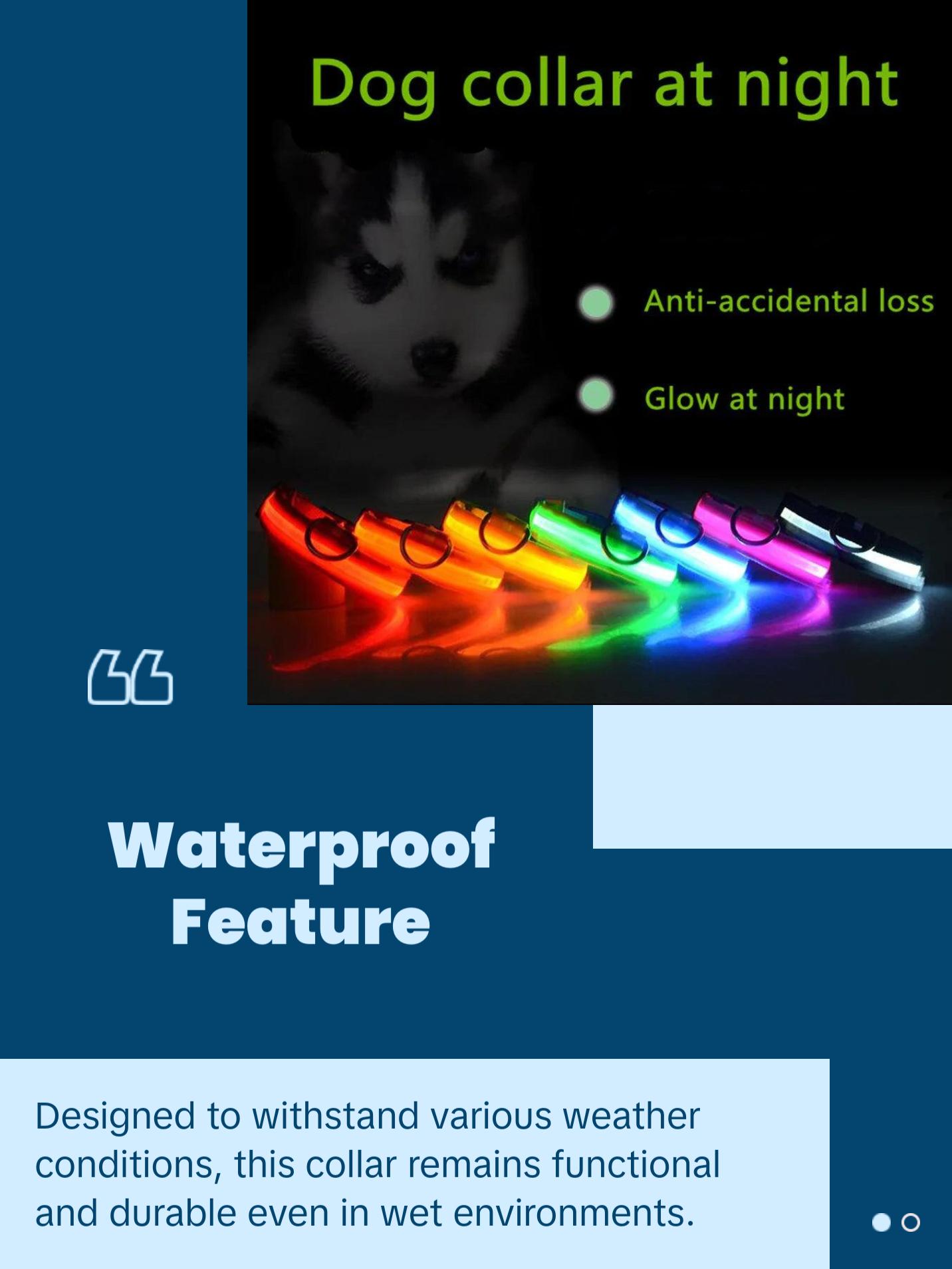 LED Adjustable Dog Collar Blinking Flashing Light Up Glow Pets Safety Waterproof