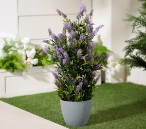 Wicker Park 28" Indoor/Outdoor Potted Lavender Wicker Park 28" Indoor/Outdoor Potted Lavender