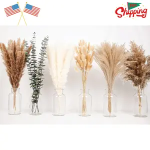 110 PCS of Boho Pampas Grass Decor, Naturally Dried Pompas