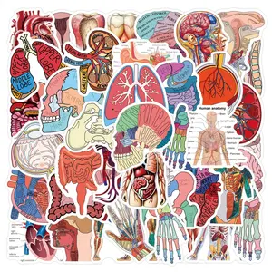 60 Pcs Cartoon Human Organ Stickers 2 | Fun Educational Vinyl Decals for Laptop, Notebook & Scrapbooking