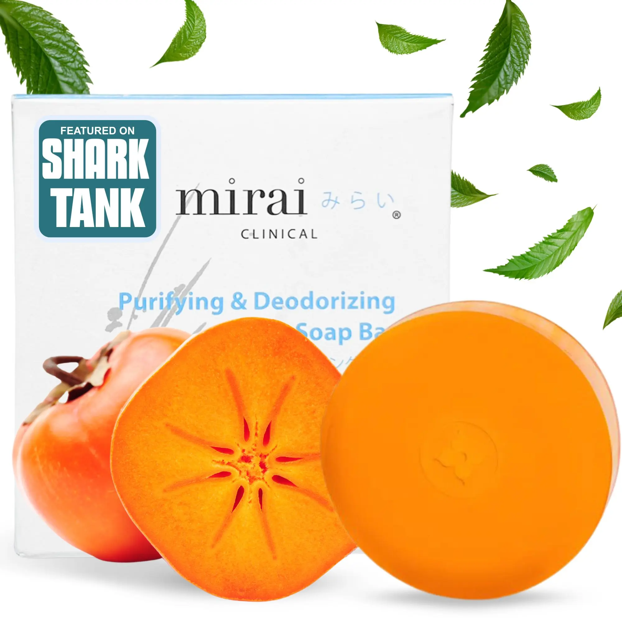 Deodorizing Soap 5 Pack