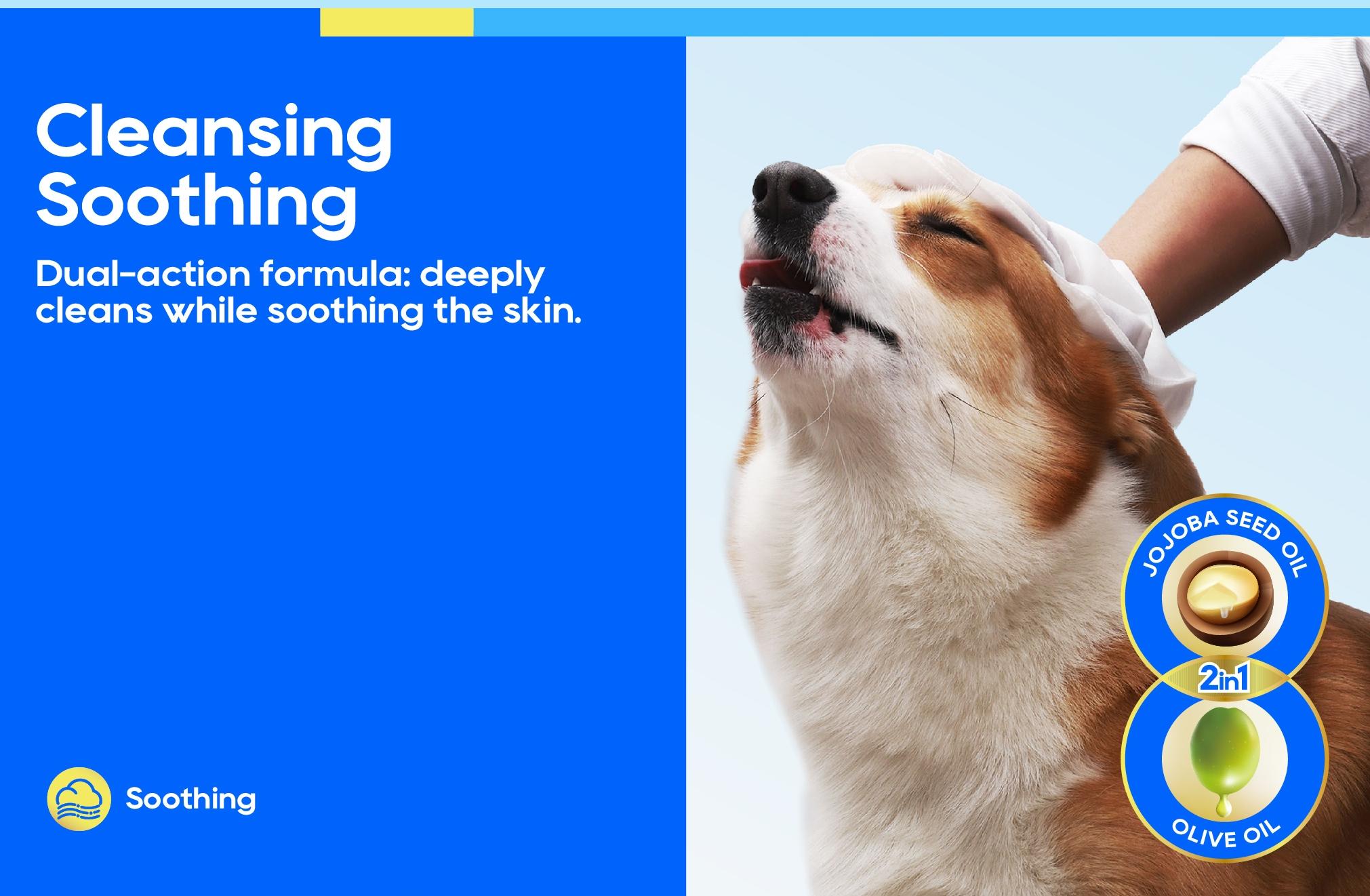 HONEYCARE: All-Absorb Pet Glove Wipes for All Pets | Dogs & Cats | Hypoallergenic | No Foam | Disposable No Rinse Shampooing Gloves