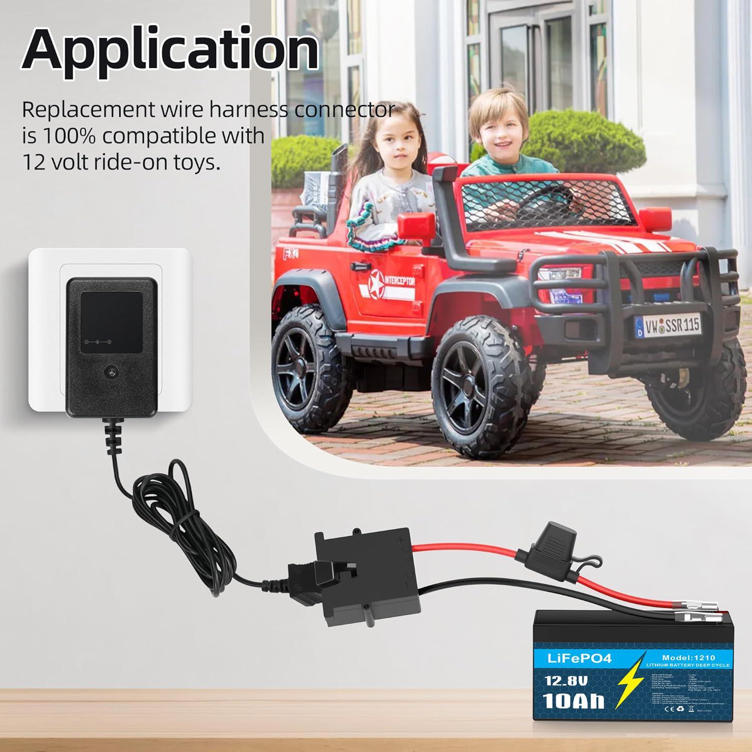 12V 10Ah Lithium LiFePO4 Deep Cycle Battery, 3000+ Cycles Rechargeable Battery for Solar and Wind Power, Fish Finder, Lighting, Power Wheel, Ride-on Toy, UPS, Scooter and More, Built-in 10A BMS