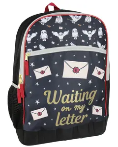 Harry Potter Hogwarts Hedwig Waiting On My Letter School Backpack 17"