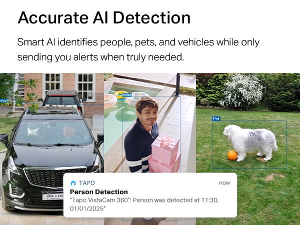 TP-Link & Tapo C660 Kit(2-Pack) 4K Ultra HD Outdoor Pan/Tilt Security Camera with Solar Panel,VistaCam 360° Pan, 24/7 Time-Lapse Capture, Free Person/Vehicle Detection, SD/Cloud Storage, Works with Alexa & Google Home Connection Digital Monitoring Mount