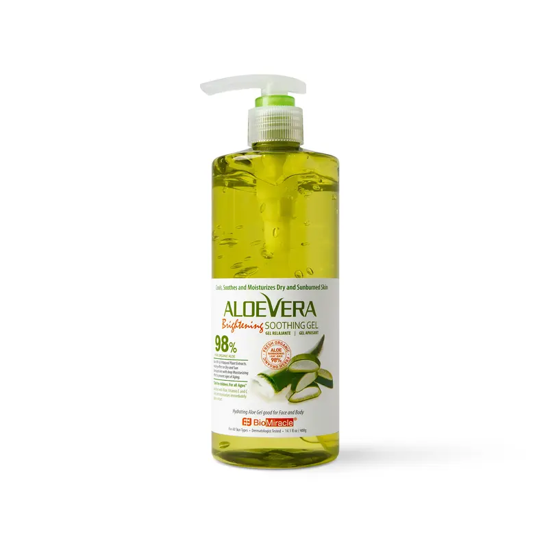 bogenhanf sansevieria zeylanica Bogenhanf Zeylanica in gärtnerischer Qualität kaufen