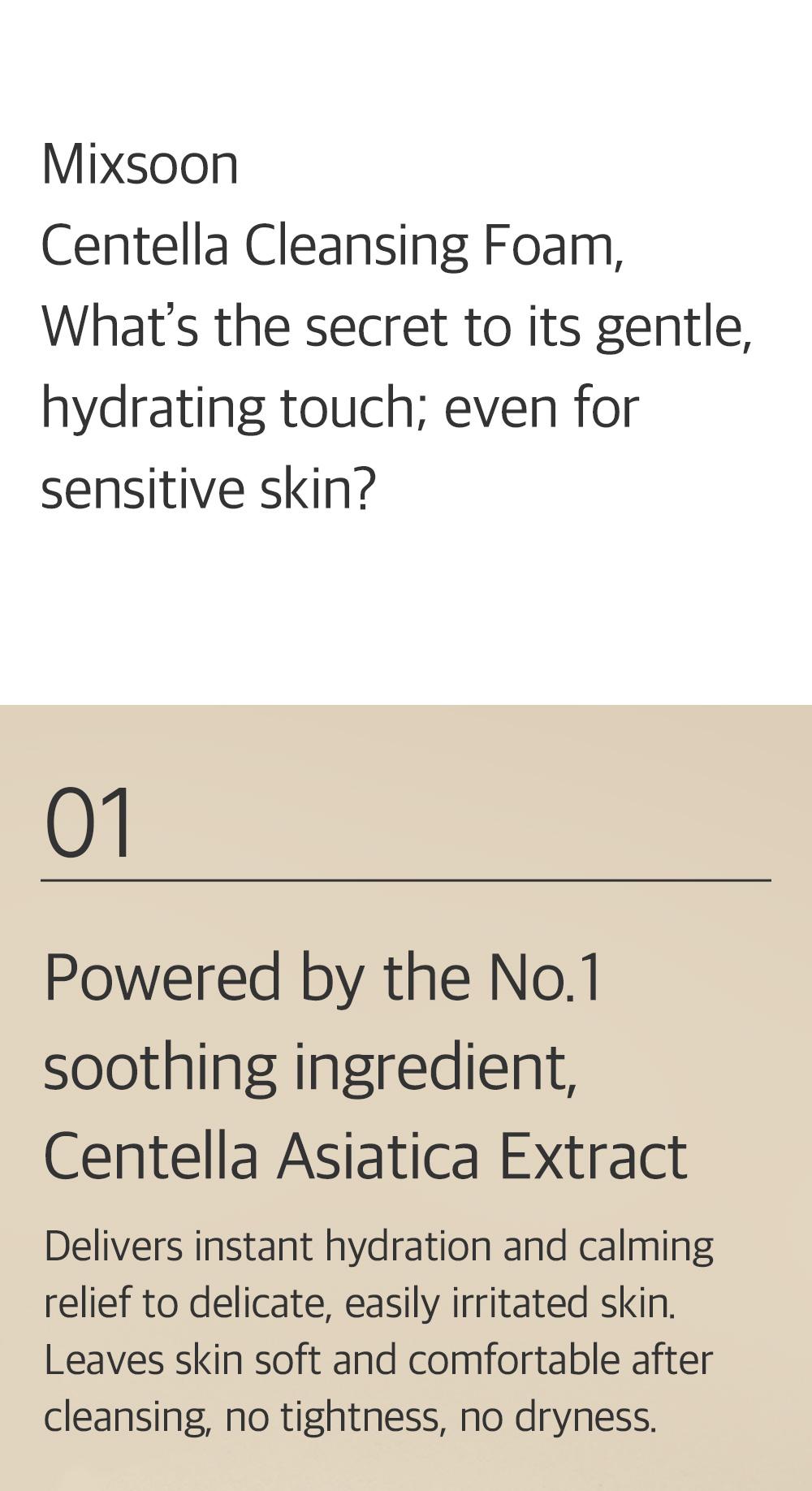 [mixsoon Official Shop] Centella Cleansing Foam Duo (5.07 fl.oz / 150ml x 2) - Low pH cleansing foam for soothing and moisturization, Korean Glass Skin Care