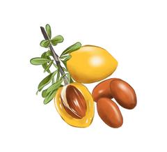 Replenish™ Conditioner – Hydrate & Grow