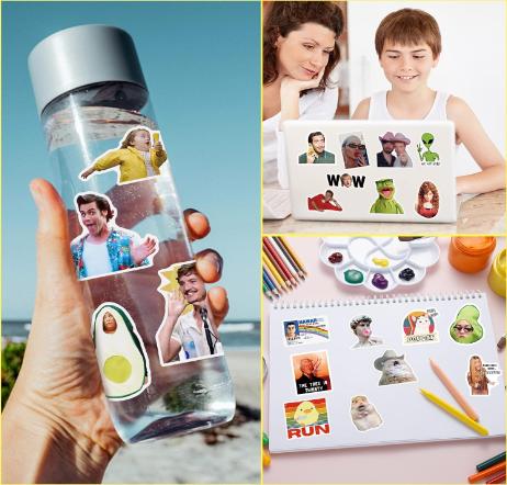 300 PCS Meme Stickers, Funny Stickers for Adults, Vinyl  Waterproof, Laptop, Pack, Bumper, Water Bottles, Computer, Phone, Hard Hat And Car Stickers