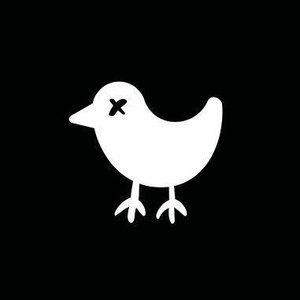 Bad Birdie