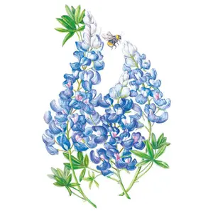 Bluebonnet Seeds
