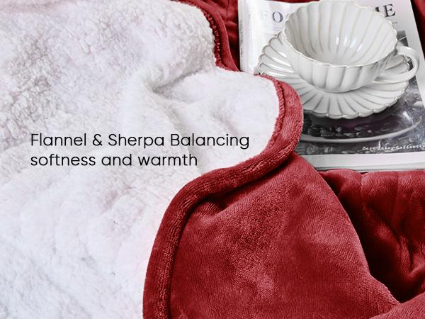 Greenoak Heated Blanket Electric Throw 50"X60", Heating Blanket with 10 Heat Levels 8 Hours Auto-Off,Fleece Soft Christmas Blanket,Gifts for Grandma Seniors Mom