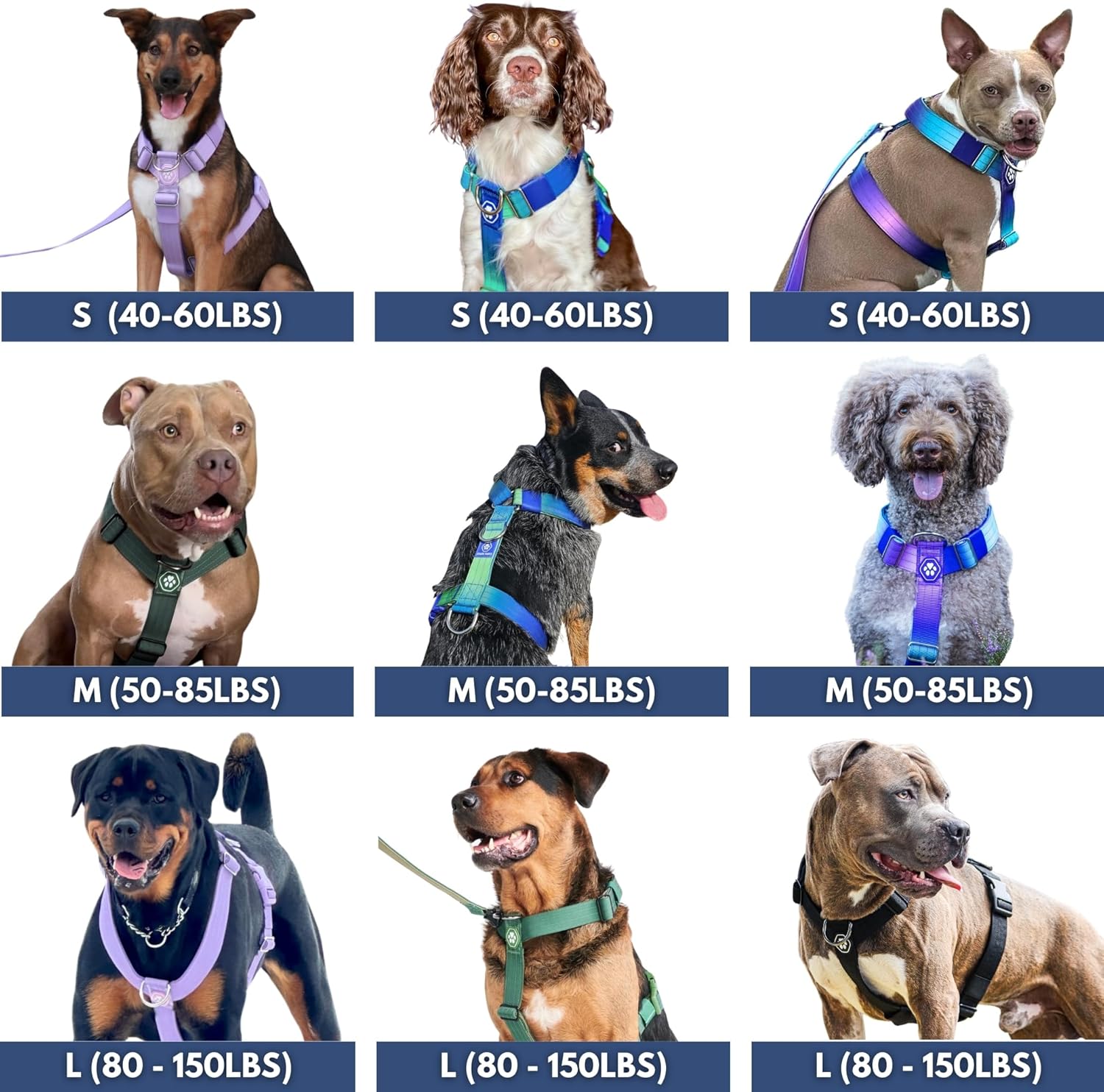 Spark Paws Comfort Control Large Dog No-Pull Harness, Halter Design with Front Clip, Durable and Heavy-Duty for Big and Strong Breeds