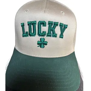 Lucky St Patrick's 3D Embroidered Snapback Hat Adjustable