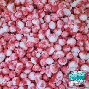 Freeze Dried Bubble Gum Wild Berry Pooff