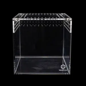 PRE ORDER - 6" Tarantula Cube (3 weeks)