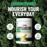 OxyGreens Super Greens Powder - Digestion & Gut Health Support - Spirulina, Barley Grass & Spinach with Prebiotic Fiber & Enzymes - Vegan & Gluten-Free - Daily Greens Drink for Adults