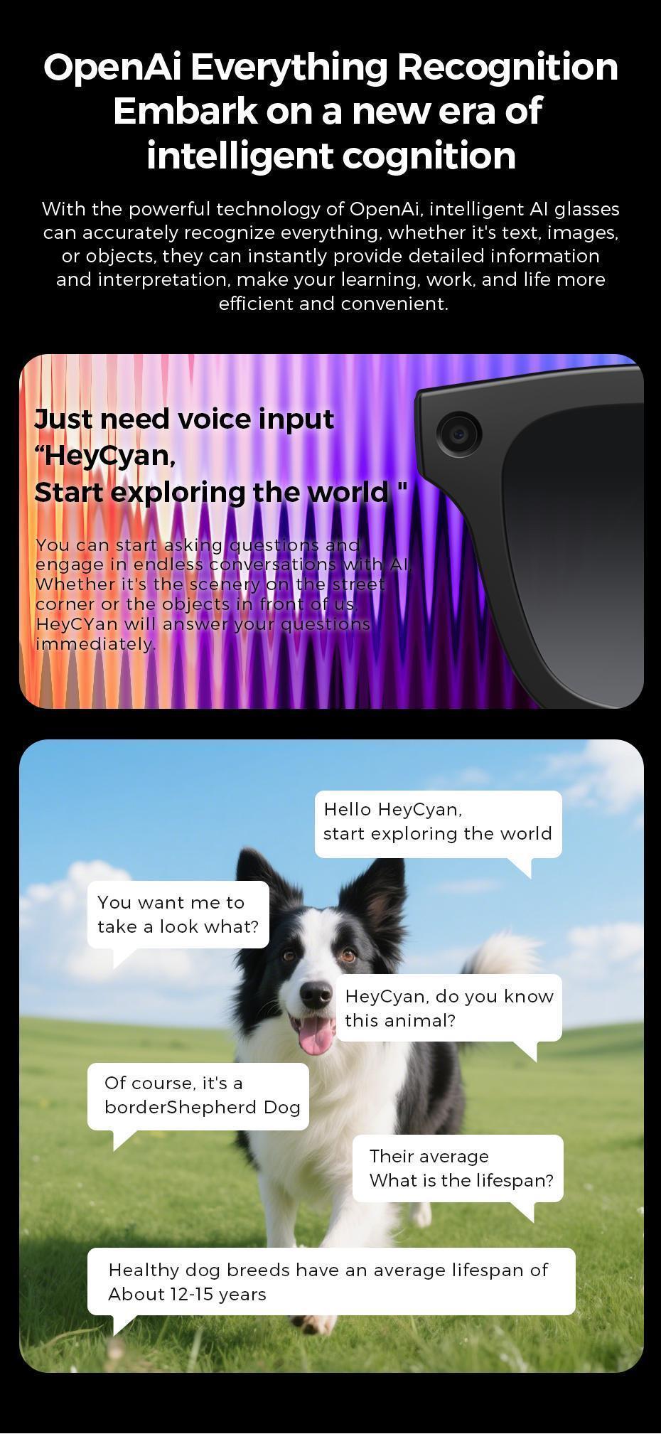 【Ivision6】 AI Smart Glasses with 800W HD Camera OpenAI Recognition, 1080P Anti-Shake Video, Real-Time Translation & Long Battery Life – Ideal for Travel, Meetings & Outdoor, Hands-Free Freedom, Innovative Tech Gift for Holidays & Special Moments Wearable