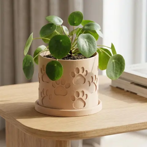 Minimal Imprint Paw Print Planter with Drainage and Drip Tray