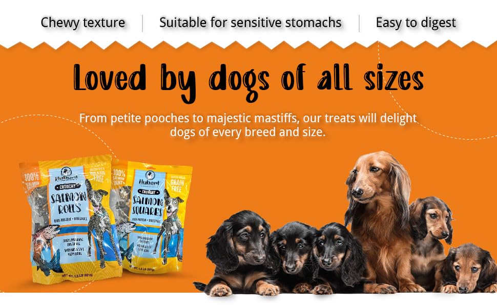 Hubert Salmon Skin Crunchy Dog Treats all-natural Single Ingredient High Protein Omega-3 Rich Puppy Snacks