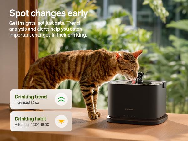 PETLIBRO APP Monitoring & Cordless Cat Water Fountain,Cordless Cat Fountain Battery Operated, App Monitoring 3L/101oz Dockstream 2 Pet Water Fountain with Stainless Steel Tray, 5GHz WiFi Dog Water Bowl Dispenser