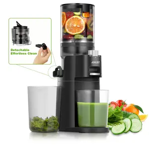 Juicer Machines with 105mm Large Chute, Integrated Design for Easy Move, Cold Press Juicer with Detachable Pulp Outlet for Deep Cleaning, Slow Masticating Juicer for Whole Fruits & Veggies, High Yield