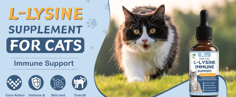 L-Lysine Supplement for Cats - Vitamins & Taurine for Immune Support & Allergy Relief - Lysine for Respiratory, Sneezing, Runny Nose, Eye Function - Natural Cat Drops - 60ML Chicken Flavor
