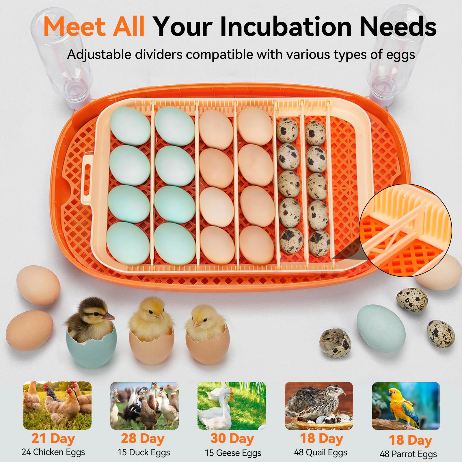 24 Egg Incubator for Hatching Eggs, Automatic Egg Turner, Temperature & Humidity Display, Hatch Days Countdown, One-Touch Egg Candler, Auto Water Refill, Low Temp & Humidity Alarm, Poultry Incubator for Chicken Duck Quail