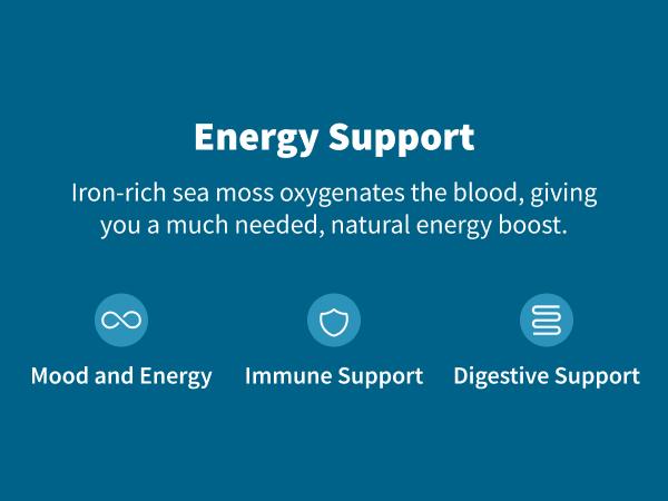 Snap Supplements - Irish Sea Moss - Sea Moss Supplement For Immunity, Digestion, Energy & Skin Tone Support - Natural Sea Moss Capsules Snap Supplements - Irish Sea Moss - Sea Moss Supplement For Immunity, Digestion, Energy & Skin Tone Support - Natural Sea Moss Capsules