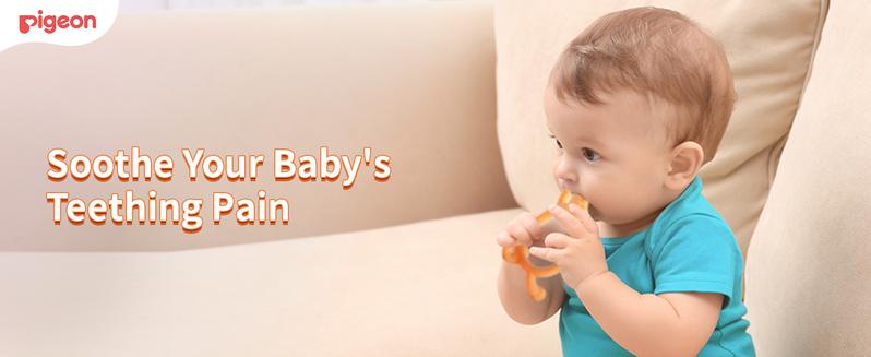 Pigeon Silicone Animal-Shaped Baby Teether, Green Bear, 1 or 2 Count – Multi-Textured Teething Relief Toys, Lightweight & Easy to Grasp3+ Months, 6+ Months