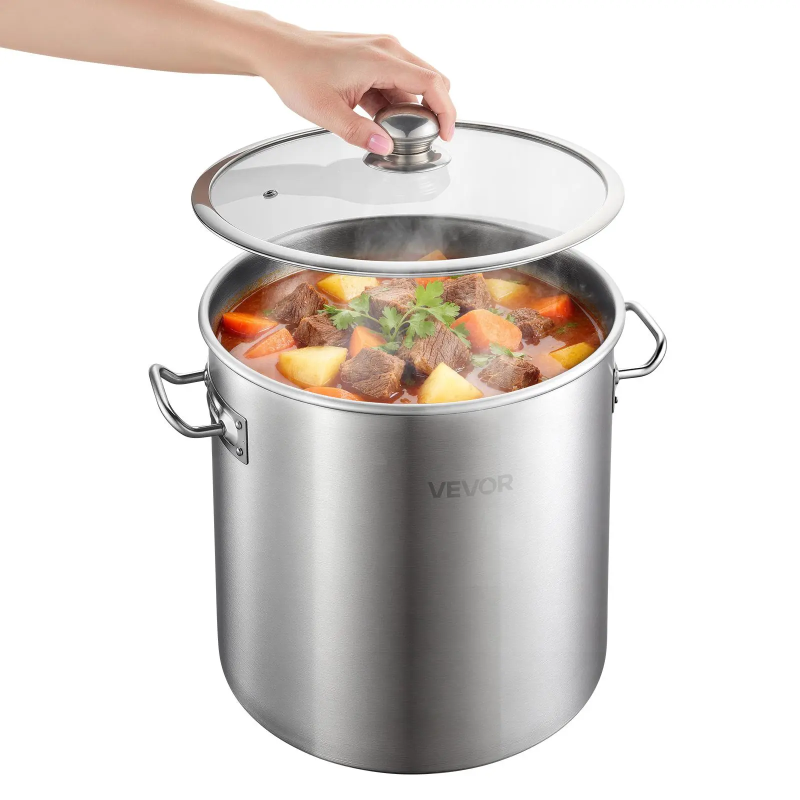 VEVOR Stainless Steel Stock Pot Cookware, 21-Quart with Glass Lid & Handles, PFOA-Free, PFAS-Free, Compatible with Gas, Induction & Electric Stoves, for Soups, Stews