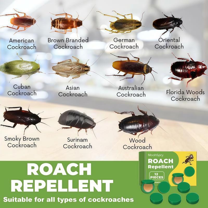 Indoor roach bait gel and trap, - 48 pieces, roach killer - home outdoor pest control dragonfly bug repellent bear spray advion cockroach Roach Bait Trap Kit moon moons  pry Cockroach Killer Repellent Set