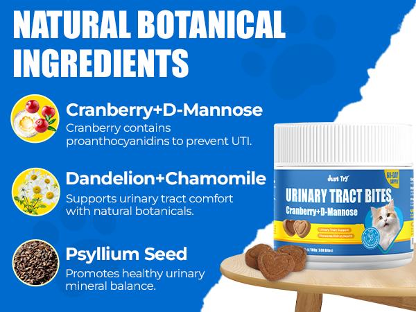 Just Try Urinary Tract Cat Bites - Urinary Support with Cranberry & D-Mannose Bladder Health Formula - Chicken Flavor 6.35 oz