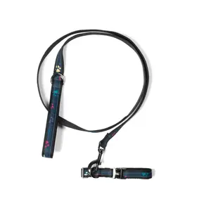 Fetch Pet Collar and Leash Set Fetch Pet Collar and Leash Set