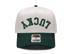 Lucky St. Patrick’s Day Hat, Embroidered St. Patrick's Day Hat, St. Pattys Day Luck Hat, Upside Down Hat Baseball Hat