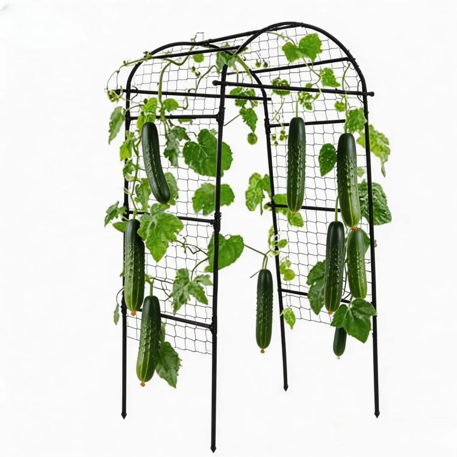 Metal Arbor Trellis, Heavy-Duty Decorative Vertical Plant Support for Raised Beds, Balcony & Vegetable Garden - 5.3x5.3 ft (160×160 cm) Rust-Resistant, Durable Outdoor Structure for Cucumbers, Roses - Black, 90×20×80 cm