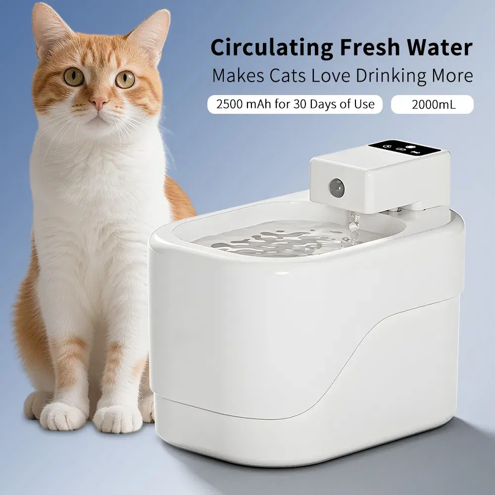 Cat Water Fountain, 2000mL Automatic Circulating Fresh Water Dispenser for Cats to Encourage Hydration