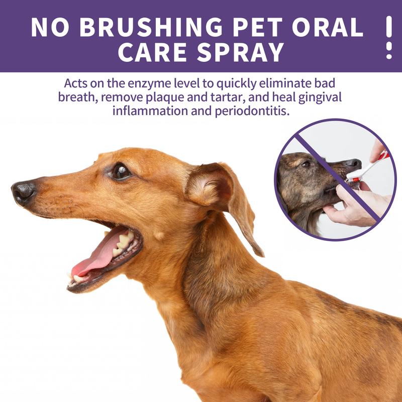 Upgraded PET Dog Dental Care Spray, Vet-Recommended Breath Freshener & Teeth Cleaning Spray, Eliminate Bad Breath, Relieve Gum Redness & Infections, Reduce Plaque & Tartar, No Brushing 50ML